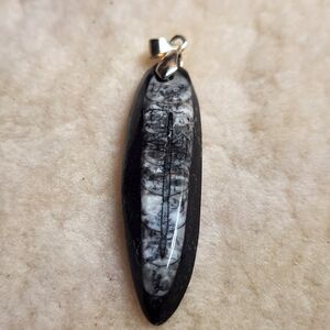 Elegant Orthoceras Fossil Black and White Pendant Necklace